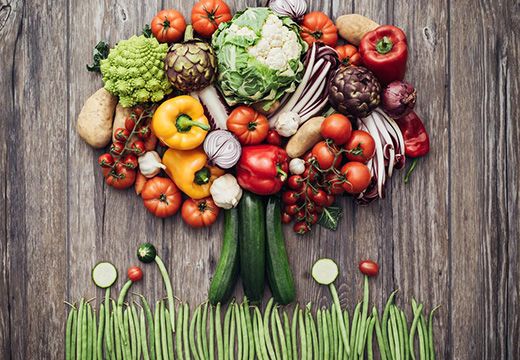 熱泵食品烘干機烘干蔬果的五大優(yōu)勢-[集木烘干]