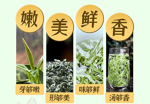 春天摘茶忙，集木空氣能熱泵烘干機(jī)讓春茶生產(chǎn)加工更簡易[集木烘干]