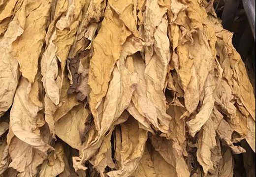 煙葉烘干選集木空氣能烘干機(jī)，效果非常的好、低成本、成色高[集木烘干]