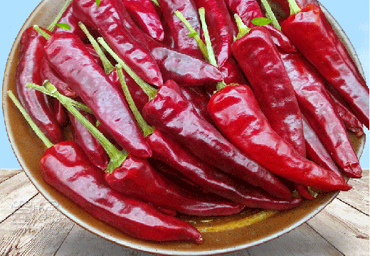 辣椒熱泵干燥特性及工藝參數(shù)優(yōu)化-[集木烘干]