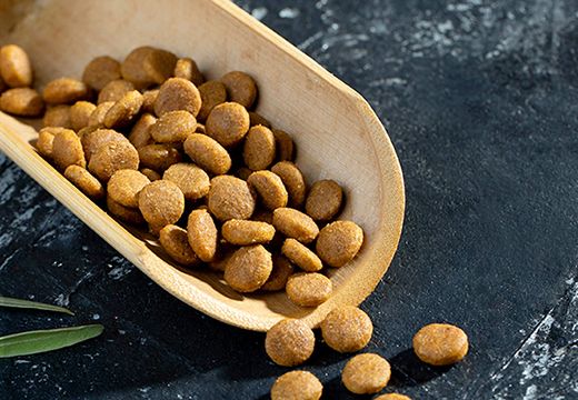 狗糧烘干機(jī)：狗糧是怎么生產(chǎn)的？-[集木烘干]