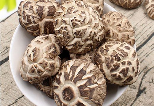 香菇烘干機(jī)技術(shù)及香菇烘干加工工藝是如何的？-[集木烘干]