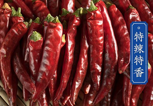 辣椒烘干機(jī)廠家-大型辣椒烘干機(jī)企業(yè)-[集木烘干]