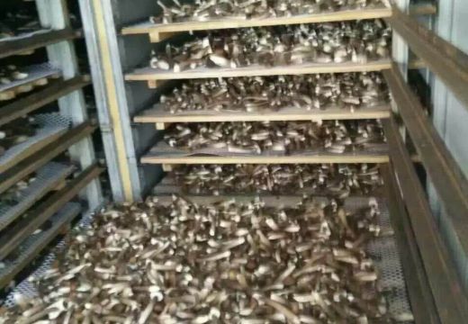 這五點(diǎn)讓空氣源成為香菇烘干機(jī)的新寵