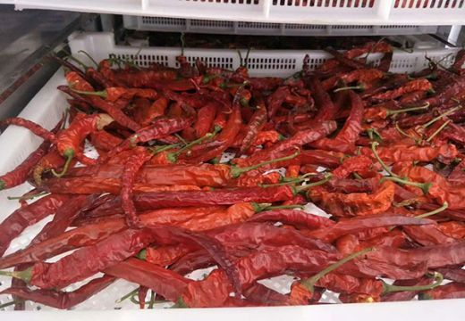 辣椒烘干機(jī)如何選型以及烘干工藝分享