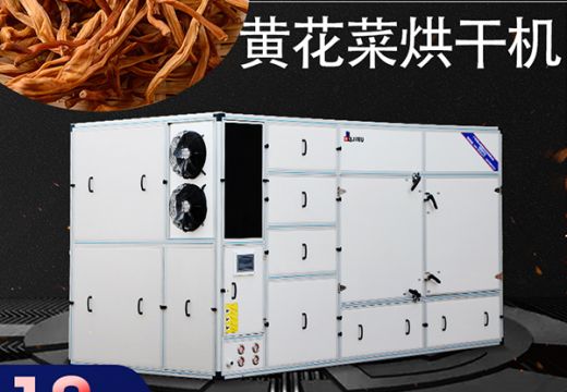 近幾年頻繁占據(jù)市場(chǎng)的黃花菜烘干機(jī)為啥這么火？【廣州集木】