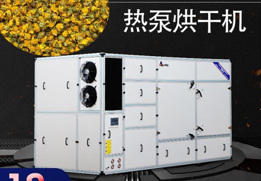 熬夜喝什么好？熱泵烘干機(jī)處理的菊花怎么樣？【廣州集木】