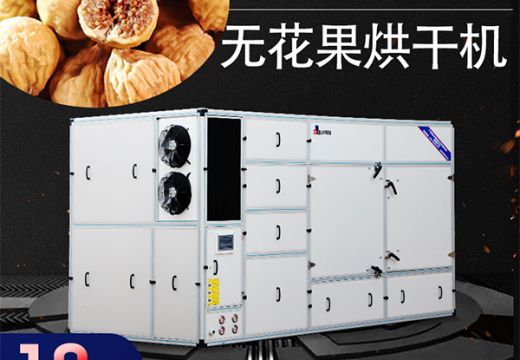 小糖包”無(wú)花果烘干機(jī)方法該選擇整個(gè)烘干還是切片烘干好【廣州集木】