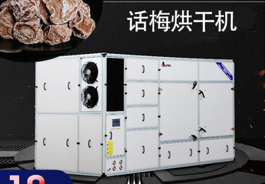 原來話梅烘干機(jī)的制作工藝這么復(fù)雜 【廣州集木】