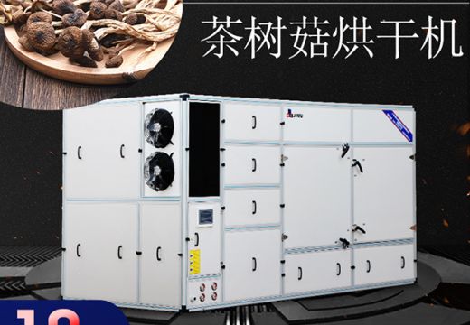 茶樹菇烘干機工藝介紹【廣州集木】