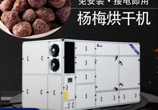 楊梅為什么要用楊梅烘干機(jī)干燥處理【廣州集木】