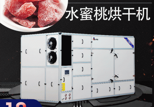 水蜜桃烘干機(jī)該如何選擇【廣州集木】
