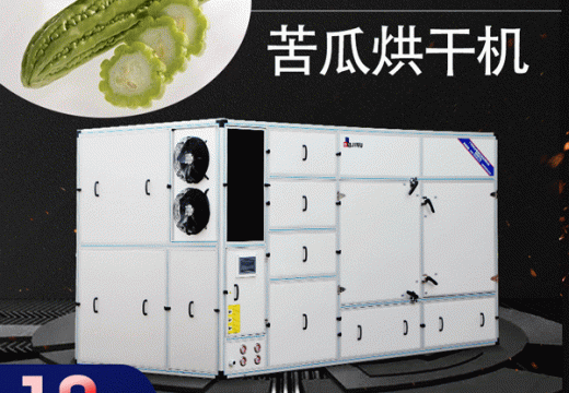 別再排斥苦瓜，苦瓜烘干機干制的苦瓜值得一試【廣州集木】