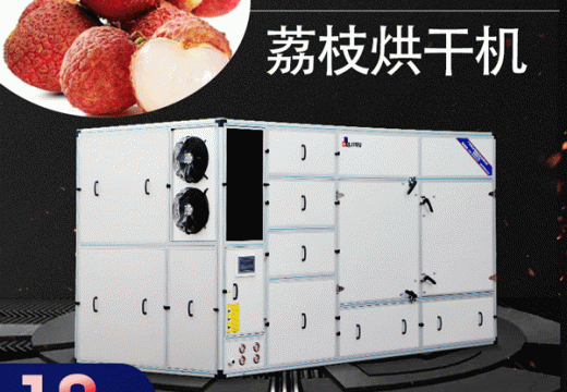 荔枝烘干機(jī)你值得選擇【廣州集木】
