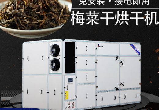 梅菜干烘干機烘制優(yōu)質(zhì)梅菜干【廣州集木】