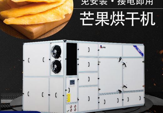 芒果烘干機(jī)干制優(yōu)質(zhì)芒果干【廣州集木】