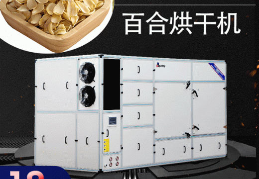 百合烘干機(jī)工藝生產(chǎn)流程【廣州集木】