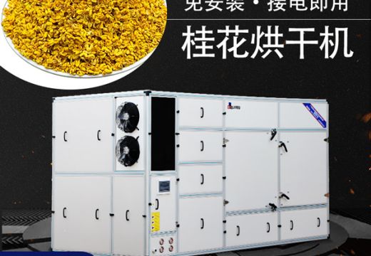 桂花烘干不變色的方法不靠天曬，使用桂花烘干機(jī)干燥色澤好【廣州集木】?