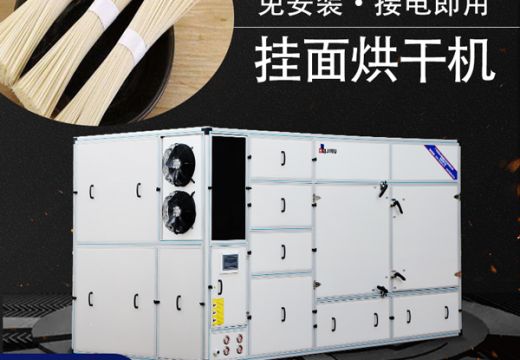 熱泵型掛面烘干機(jī)工藝烘出高品質(zhì)掛面 【廣州集木】