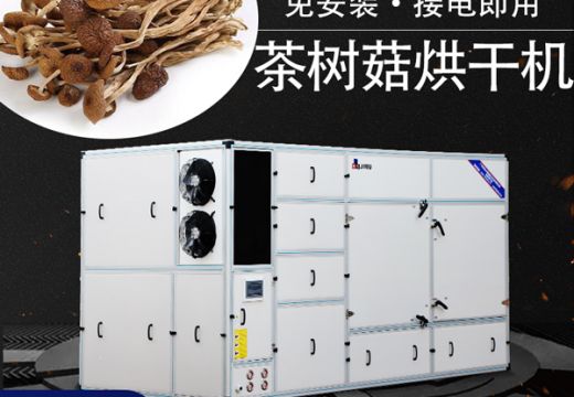 茶樹菇烘干機(jī)制干技術(shù)性與烘干工藝息息相關(guān)【廣州集木】