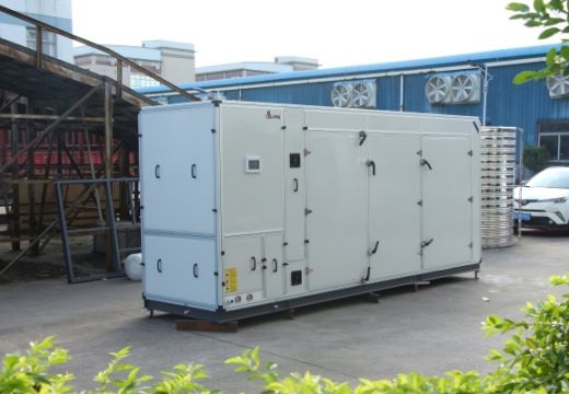 科技賦能！食用菌烘干機(jī)推動(dòng)產(chǎn)業(yè)高速發(fā)展！【集木烘干】