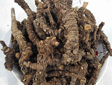 羌活烘干機(jī)