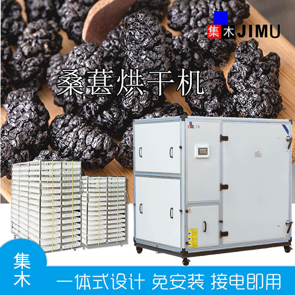 桑葚烘干機