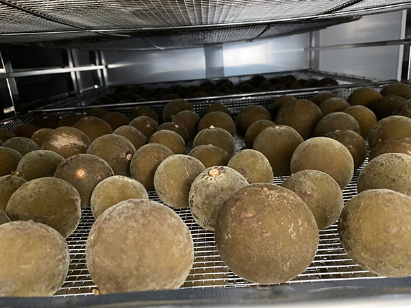 化橘紅烘干機(jī)